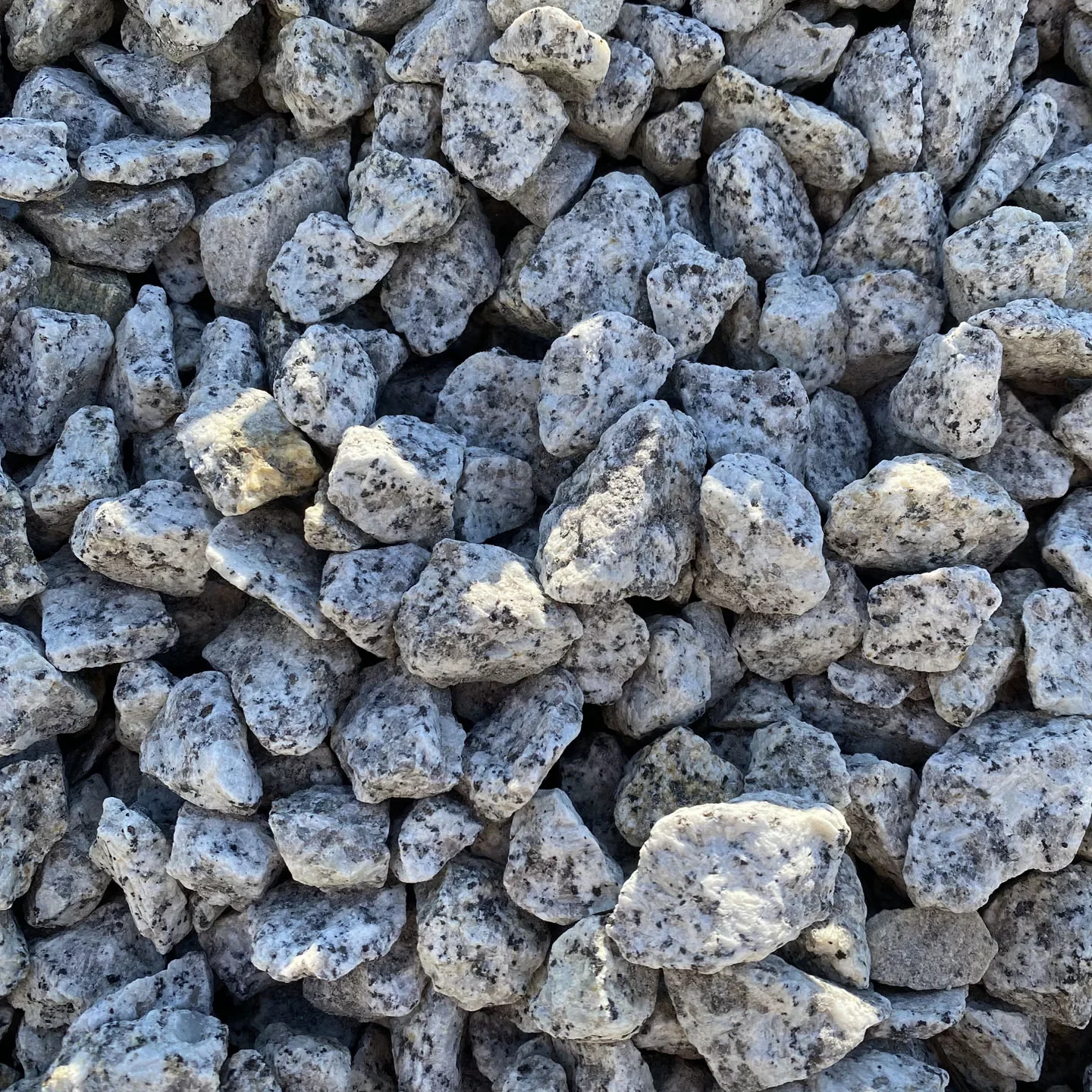 granit dalmatyńczyk 8 16