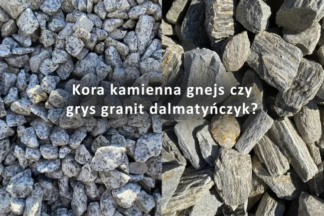 kora kamienna gnejs czy grys granit dalmatyńczyk